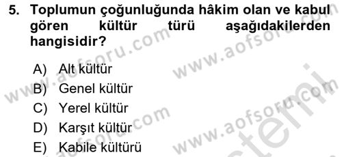 Küreselleşme ve Kültürlerarası İletişim Dersi 2023 - 2024 Yılı Yaz Okulu Sınav Soruları 5. Soru