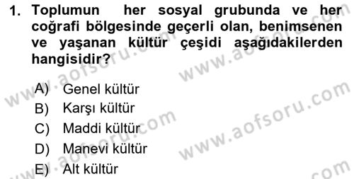 Küreselleşme ve Kültürlerarası İletişim Dersi 2024 - 2025 Yılı (Vize) Ara Sınav Soruları 1. Soru