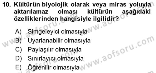 Küreselleşme ve Kültürlerarası İletişim Dersi 2024 - 2025 Yılı (Vize) Ara Sınav Soruları 10. Soru