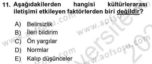Küreselleşme ve Kültürlerarası İletişim Dersi 2024 - 2025 Yılı (Vize) Ara Sınav Soruları 11. Soru