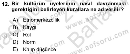 Küreselleşme ve Kültürlerarası İletişim Dersi 2024 - 2025 Yılı (Vize) Ara Sınav Soruları 12. Soru
