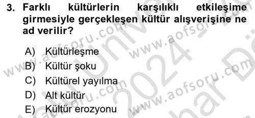 Küreselleşme ve Kültürlerarası İletişim Dersi 2024 - 2025 Yılı (Vize) Ara Sınav Soruları 3. Soru
