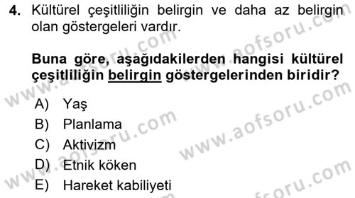 Küreselleşme ve Kültürlerarası İletişim Dersi 2024 - 2025 Yılı (Vize) Ara Sınav Soruları 4. Soru