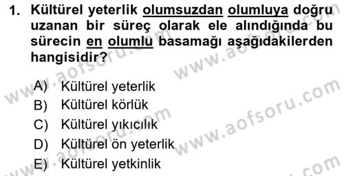 Küreselleşme ve Kültürlerarası İletişim Dersi 2024 - 2025 Yılı (Final) Dönem Sonu Sınav Soruları 1. Soru