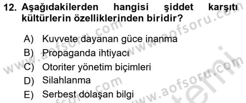 Küreselleşme ve Kültürlerarası İletişim Dersi 2024 - 2025 Yılı (Final) Dönem Sonu Sınav Soruları 12. Soru