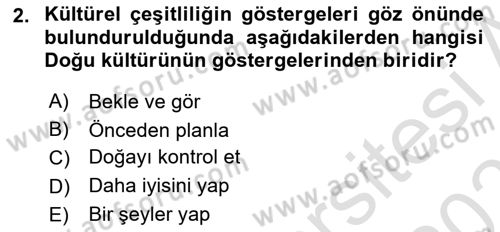 Küreselleşme ve Kültürlerarası İletişim Dersi 2024 - 2025 Yılı (Final) Dönem Sonu Sınav Soruları 2. Soru