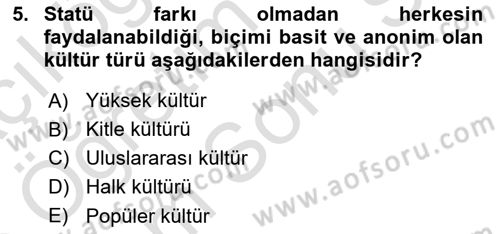 Küreselleşme ve Kültürlerarası İletişim Dersi 2024 - 2025 Yılı (Final) Dönem Sonu Sınav Soruları 5. Soru