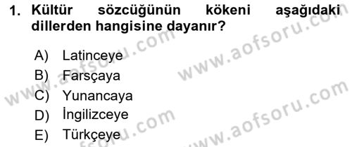 Küreselleşme ve Kültürlerarası İletişim Dersi 2024 - 2025 Yılı Yaz Okulu Sınav Soruları 1. Soru