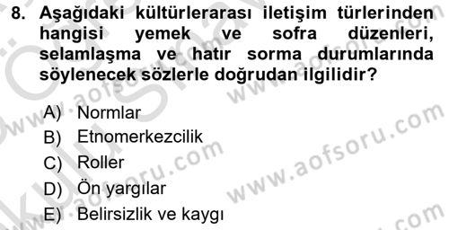 Küreselleşme ve Kültürlerarası İletişim Dersi 2024 - 2025 Yılı Yaz Okulu Sınav Soruları 8. Soru