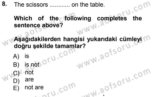 Ingilizce 1 Dersi 2012 - 2013 Yılı (Vize) Ara Sınav Soruları 8. Soru