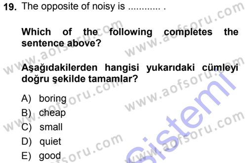 Ingilizce 1 Dersi 2013 - 2014 Yılı (Vize) Ara Sınav Soruları 19. Soru