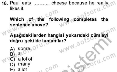 Ingilizce 1 Dersi 2014 - 2015 Yılı (Final) Dönem Sonu Sınav Soruları 18. Soru