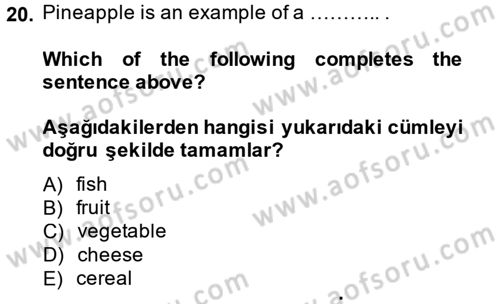 Ingilizce 1 Dersi 2014 - 2015 Yılı (Final) Dönem Sonu Sınav Soruları 20. Soru