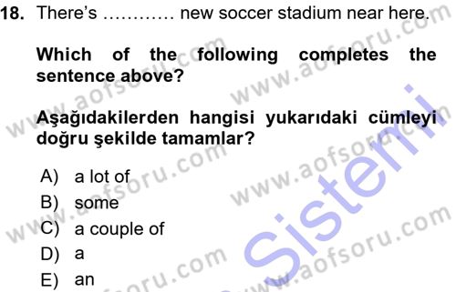 Ingilizce 1 Dersi 2015 - 2016 Yılı (Vize) Ara Sınav Soruları 18. Soru