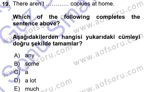 Ingilizce 1 Dersi 2015 - 2016 Yılı (Final) Dönem Sonu Sınav Soruları 19. Soru