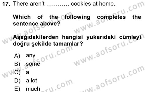 Ingilizce 1 Dersi 2016 - 2017 Yılı 3 Ders Sınav Soruları 17. Soru