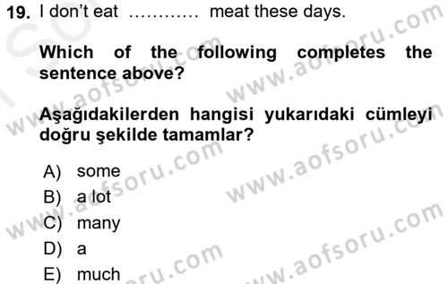 Ingilizce 1 Dersi 2016 - 2017 Yılı (Final) Dönem Sonu Sınav Soruları 19. Soru