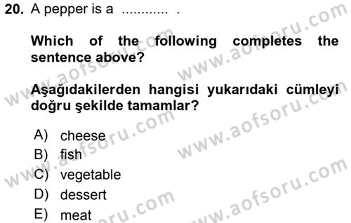 Ingilizce 1 Dersi 2016 - 2017 Yılı (Final) Dönem Sonu Sınav Soruları 20. Soru