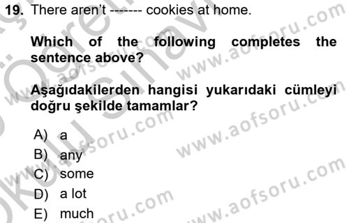 Ingilizce 1 Dersi 2018 - 2019 Yılı Yaz Okulu Sınav Soruları 19. Soru