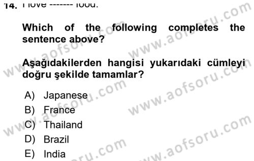 Ingilizce 1 Dersi 2020 - 2021 Yılı Yaz Okulu Sınav Soruları 14. Soru