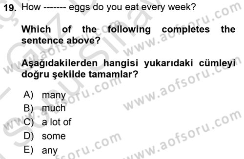 Ingilizce 1 Dersi 2021 - 2022 Yılı (Final) Dönem Sonu Sınav Soruları 19. Soru