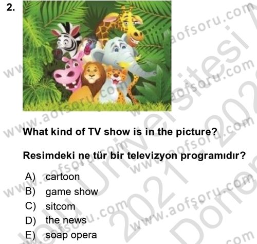Ingilizce 1 Dersi 2021 - 2022 Yılı (Final) Dönem Sonu Sınav Soruları 2. Soru