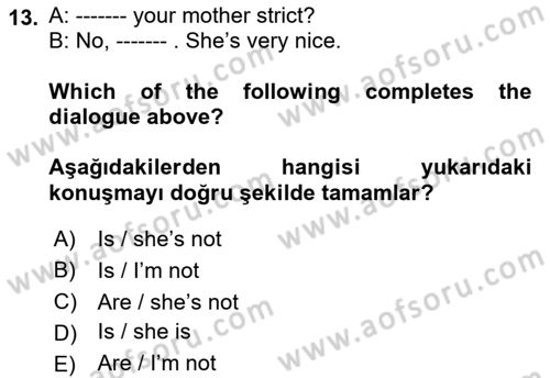 Ingilizce 1 Dersi 2023 - 2024 Yılı (Vize) Ara Sınav Soruları 13. Soru