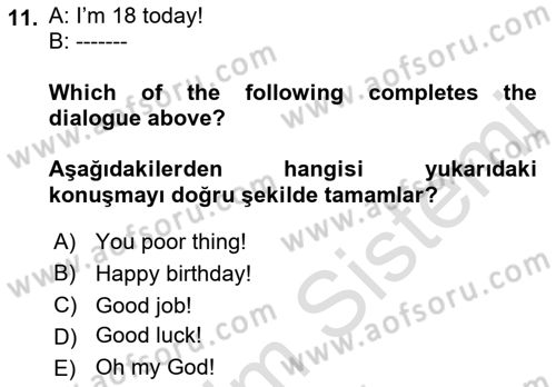 Ingilizce 1 Dersi 2023 - 2024 Yılı (Final) Dönem Sonu Sınav Soruları 11. Soru