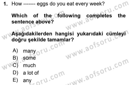 Ingilizce 1 Dersi 2023 - 2024 Yılı Yaz Okulu Sınav Soruları 1. Soru