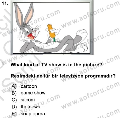 Ingilizce 1 Dersi 2024 - 2025 Yılı (Final) Dönem Sonu Sınav Soruları 11. Soru