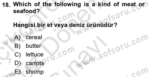 Ingilizce 1 Dersi 2024 - 2025 Yılı (Final) Dönem Sonu Sınav Soruları 18. Soru