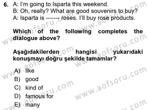 Ingilizce 1 Dersi 2024 - 2025 Yılı (Final) Dönem Sonu Sınav Soruları 6. Soru