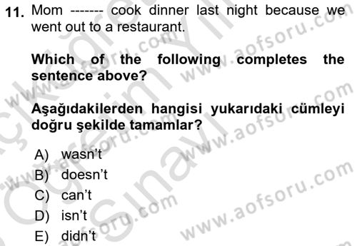 Ingilizce 1 Dersi 2024 - 2025 Yılı Yaz Okulu Sınav Soruları 11. Soru