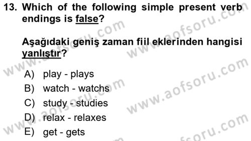 Ingilizce 1 Dersi 2024 - 2025 Yılı Yaz Okulu Sınav Soruları 13. Soru