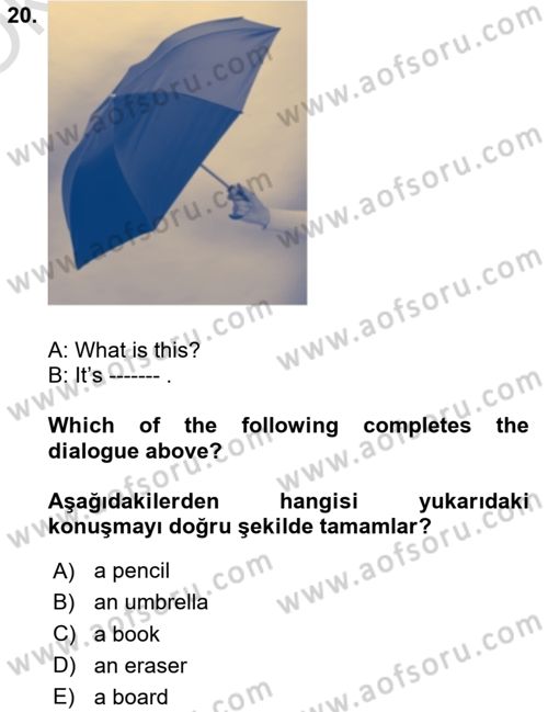 Ingilizce 1 Dersi 2024 - 2025 Yılı Yaz Okulu Sınav Soruları 20. Soru