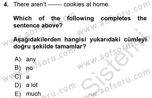 Ingilizce 1 Dersi 2024 - 2025 Yılı Yaz Okulu Sınav Soruları 4. Soru
