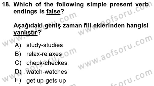 Ingilizce 1 Dersi 2025 - 2026 Yılı (Vize) Ara Sınav Soruları 18. Soru