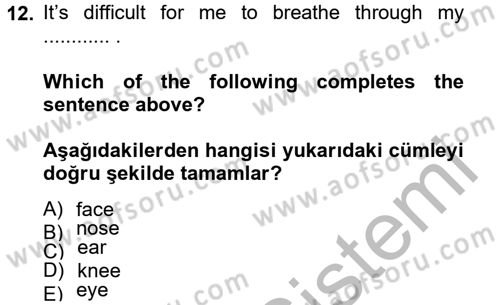 İngilizce 2 Dersi 2012 - 2013 Yılı (Final) Dönem Sonu Sınav Soruları 12. Soru