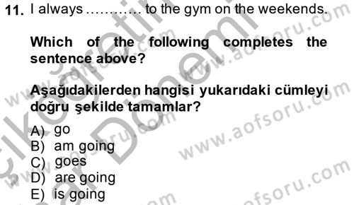 İngilizce 2 Dersi 2014 - 2015 Yılı (Vize) Ara Sınav Soruları 11. Soru