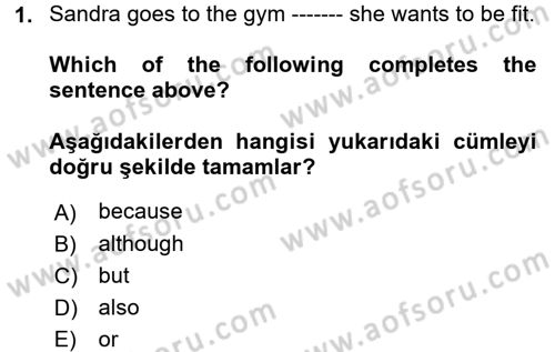 İngilizce 2 Dersi 2018 - 2019 Yılı 3 Ders Sınav Soruları 1. Soru