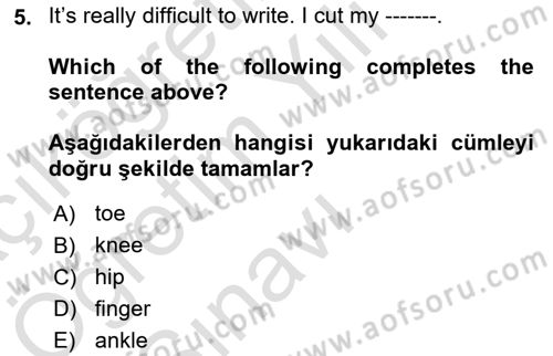 İngilizce 2 Dersi 2021 - 2022 Yılı Yaz Okulu Sınav Soruları 5. Soru