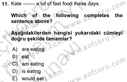 İngilizce 2 Dersi 2022 - 2023 Yılı Yaz Okulu Sınav Soruları 11. Soru