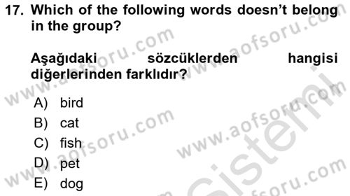 İngilizce 2 Dersi 2023 - 2024 Yılı (Vize) Ara Sınav Soruları 17. Soru
