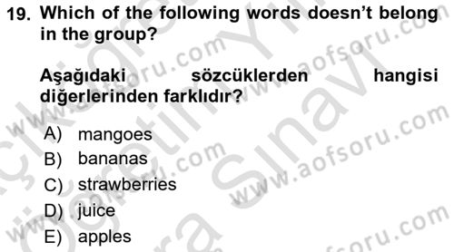 İngilizce 2 Dersi 2024 - 2025 Yılı (Vize) Ara Sınav Soruları 19. Soru