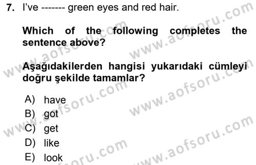 İngilizce 2 Dersi 2024 - 2025 Yılı (Final) Dönem Sonu Sınav Soruları 7. Soru