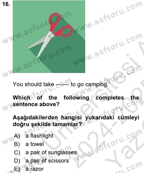 İngilizce 2 Dersi 2024 - 2025 Yılı Yaz Okulu Sınav Soruları 16. Soru
