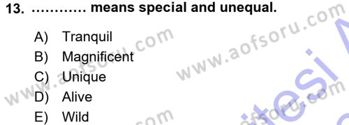 Turizm İçin İngilizce 1 Dersi 2015 - 2016 Yılı (Final) Dönem Sonu Sınav Soruları 13. Soru