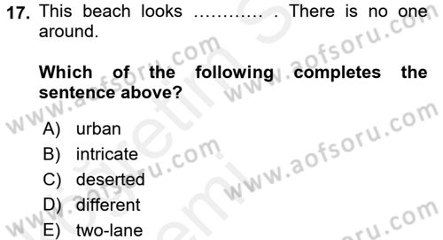 Turizm İçin İngilizce 1 Dersi 2015 - 2016 Yılı Tek Ders Sınav Soruları 17. Soru