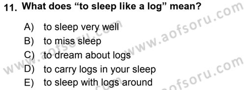 Turizm İçin İngilizce 1 Dersi 2016 - 2017 Yılı 3 Ders Sınav Soruları 11. Soru