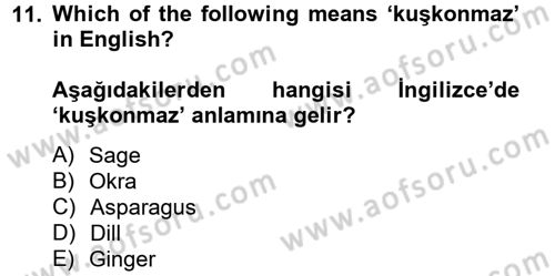 Turizm İçin İngilizce 2 Dersi 2012 - 2013 Yılı (Final) Dönem Sonu Sınav Soruları 11. Soru